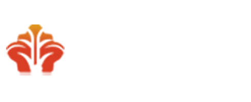 甯波睿奇軟件技術有限公司